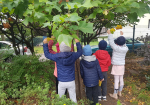Pięcioro dzieci stoi pod drzewem w ogrodzie. Dzieci dotykają gałezi i liści.