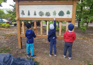 Grupa chłopców ogląda wysunki drzew na Dendrofonie.