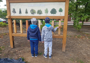 Dwóch chłopców stoi przy Dendrofonie. Jeden z nich uderza drewnianym młotkiem w drewniane elementy.
