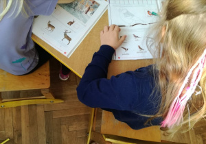 Dziewczynka ogląda książkę z ilustracjami przedstawiającymi ptaki.